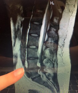 4CE63AFE-F568-4DFF-BBF4-056D024ED2CD